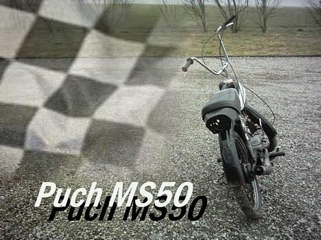 Puch MS50 (Ny billeder) - <[Veddum Racing Team]> billede 4