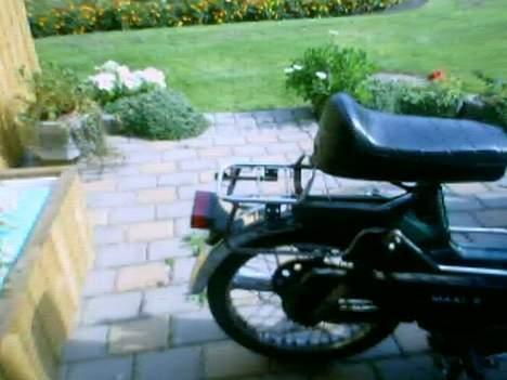 Puch Maxi 2 Gear billede 3