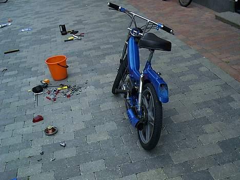 Puch Maxi P1 billede 10