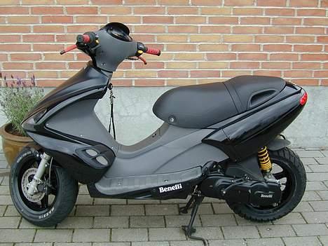 Benelli 491 Til Salg billede 2