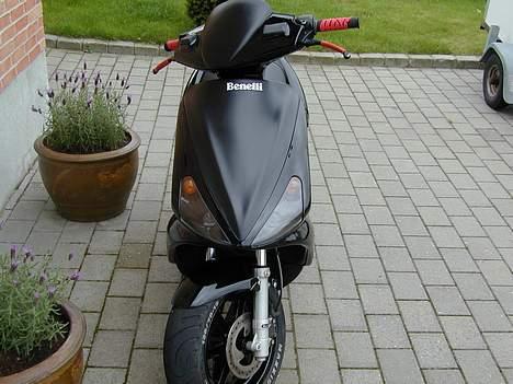 Benelli 491 Til Salg billede 3