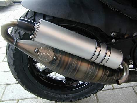 Benelli 491 Til Salg billede 5