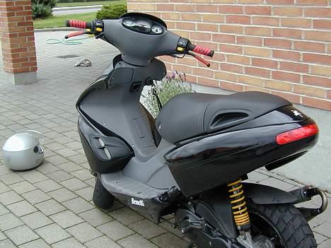 Benelli 491 Til Salg billede 6