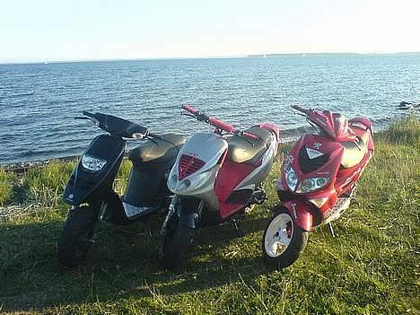 Piaggio NRG // Byttet til Stalker - Ude at cruise lidt med gutterne :p Fra Venstre : Ewers Tyffe, Mit MONSTER og Claes J´s SF :D billede 7