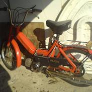 Puch maxi