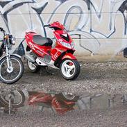 Peugeot Speedfight 2 - The frog