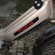 Puch puch maxi
