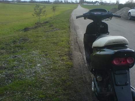 Honda SFX SOLGT billede 15