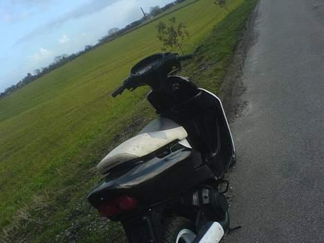 Honda SFX SOLGT billede 16