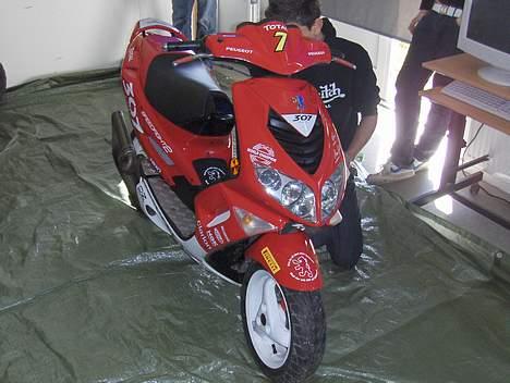 Peugeot speedfight 2 wrc 307 billede 12