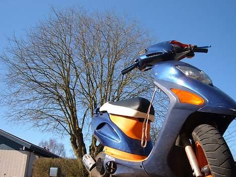 Honda      sfx "Smadret" billede 6
