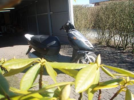 Aprilia Sonic * SOLGT * billede 6