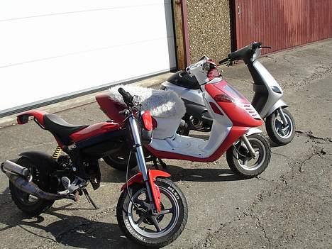 Suzuki Street Magic [SOLGT] :'/ billede 15