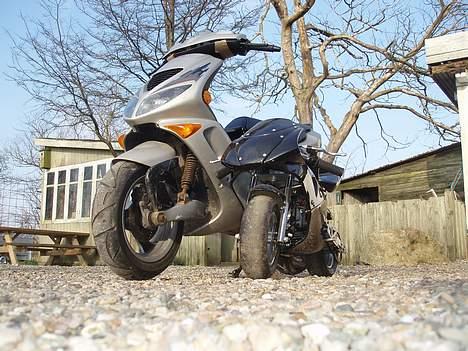 Peugeot speedfight 1 LC Solgt  - pocketbiken er tilsalg billede 6