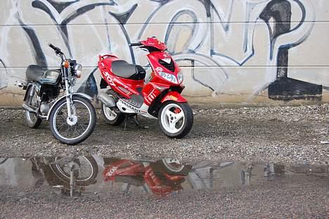 Peugeot Speedfight 2 - The frog - som den så ud før, og kavers dm 50 billede 2