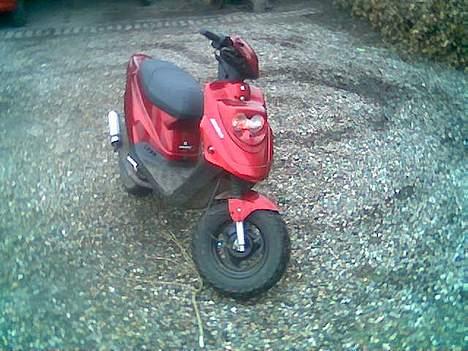 PGO Hot 50 - Solgt billede 2