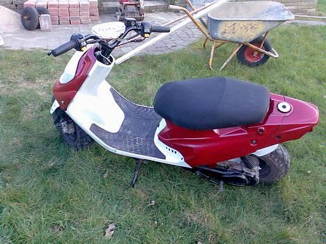 PGO hot50 (solgt) billede 5