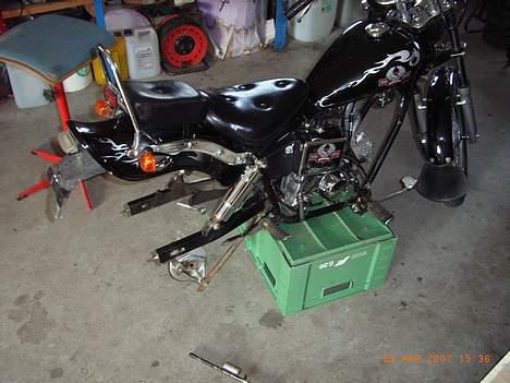 Regal Raptor billede 1