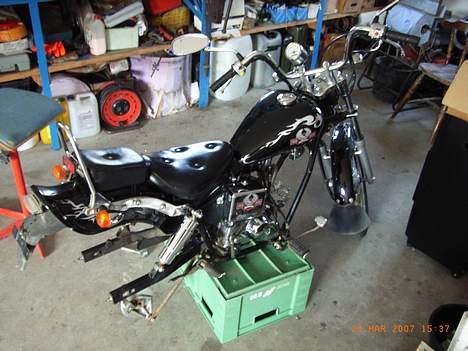 Regal Raptor billede 2