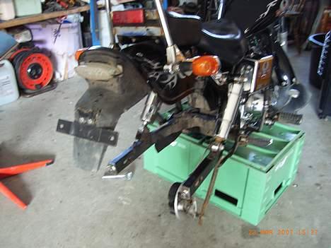 Regal Raptor billede 3