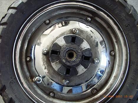 Regal Raptor billede 4