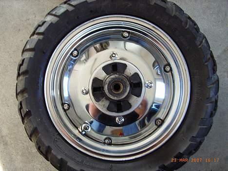 Regal Raptor billede 5