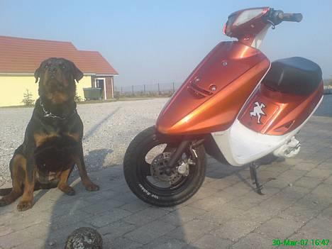 Yamaha Jog (PROJEKT) billede 1