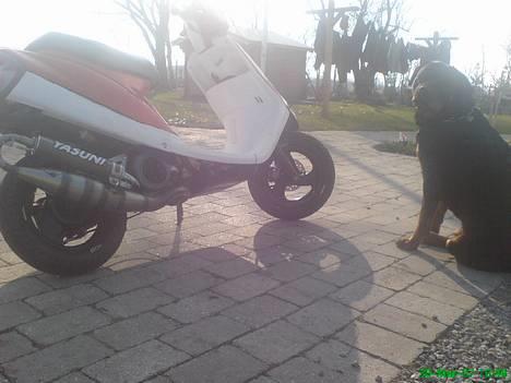 Yamaha Jog (PROJEKT) billede 2