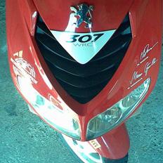 Peugeot Speedfight 2 wrc 307