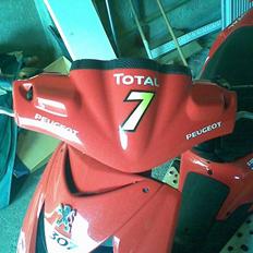 Peugeot Speedfight 2 wrc 307