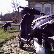 Piaggio Nrg Mc3 // Fede Bente \\