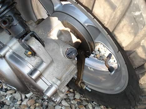 PGO Dr. Big billede 14