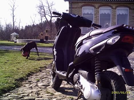 Piaggio Nrg Mc3 // Fede Bente \\ - Bagfra (: Ny poleret billede 3