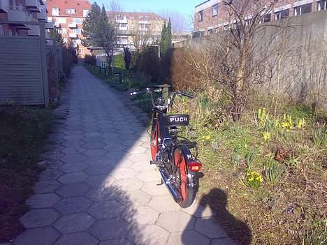 Puch Maxi K - Billede fra d. 16 marts 07 billede 7