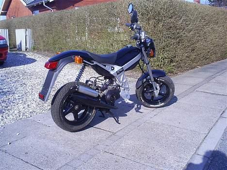 Suzuki Street Magic - Solgt billede 3