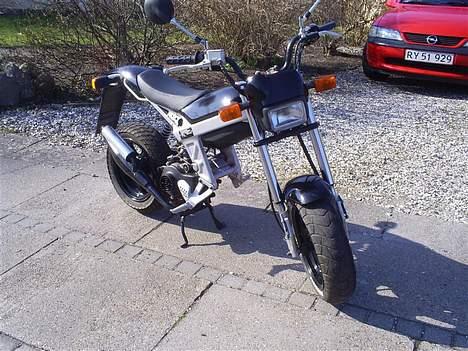 Suzuki Street Magic - Solgt billede 7