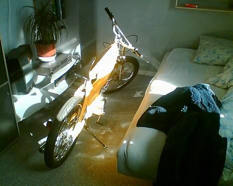 Puch maxi SOLGT - Som den står lige nu, inde på værelset. billede 8