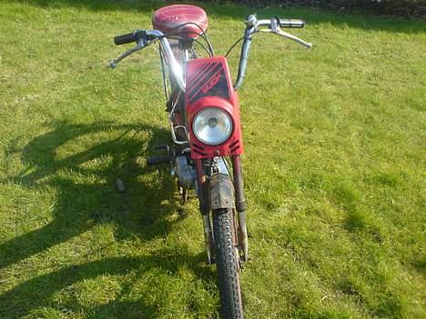Puch Maxi K billede 7