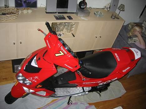 Peugeot speedfight 2 wrc 307 - passer godt på den, så den står inde i stuen om natten billede 14