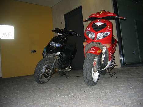 Peugeot speedfight 2 wrc 307 billede 16