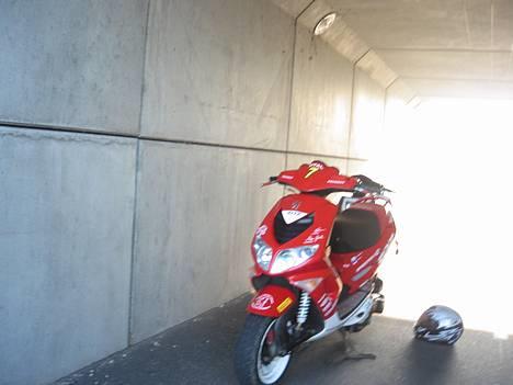 Peugeot speedfight 2 wrc 307 billede 19