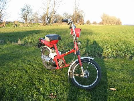 Honda Xpress NC50 - Xpressen  billede 2