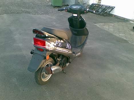 Pexma Kd 50 solgt billede 3