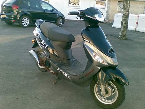 Pexma Kd 50 solgt billede 4