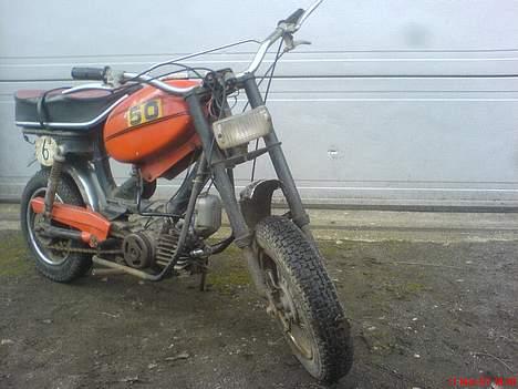 Garelli katia billede 1