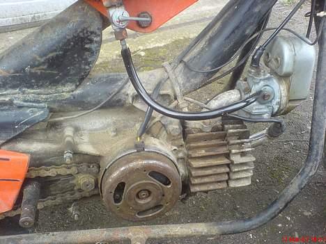 Garelli katia billede 2