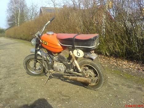 Garelli katia billede 4