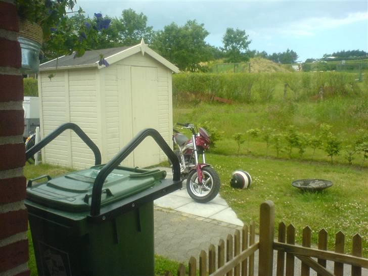 Suzuki Street magic TIL SALG billede 7