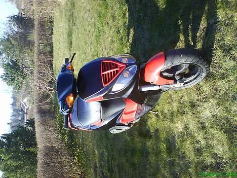 Piaggio Nrg Mc3 Tilsalg billede 2
