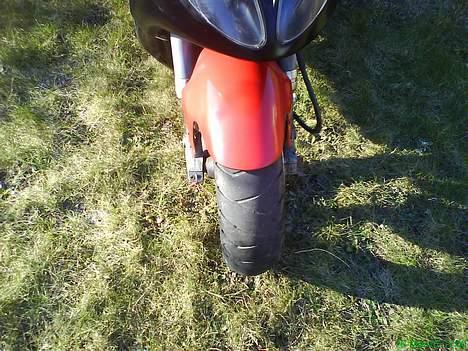 Piaggio Nrg Mc3 Tilsalg billede 4